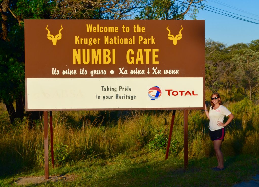 Spotting the Big 5 in Kruger National Park - The Traveling Vet Girl